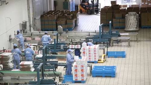 打造一片凈土，開足馬力保牛奶制品安全供應(yīng)與勞動(dòng)保護(hù)用品銷售